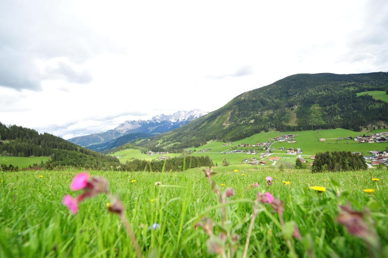 Bed and Breakfast Buttermilchalm Sankt Martin am Tennengebirge Exteriér fotografie